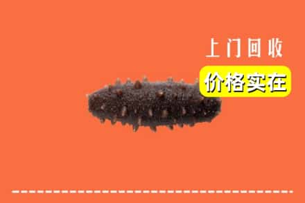台江县回收海参