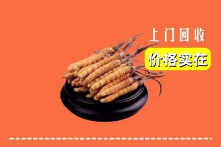 台江县回收冬虫夏草
