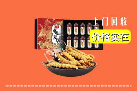 台江县回收虫草